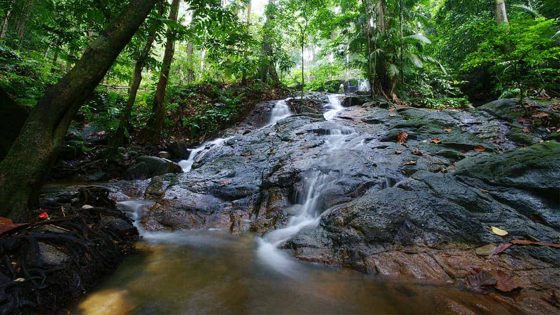 Top 3 Nature Places To Visit with Your Kids in Kuala Lumpur