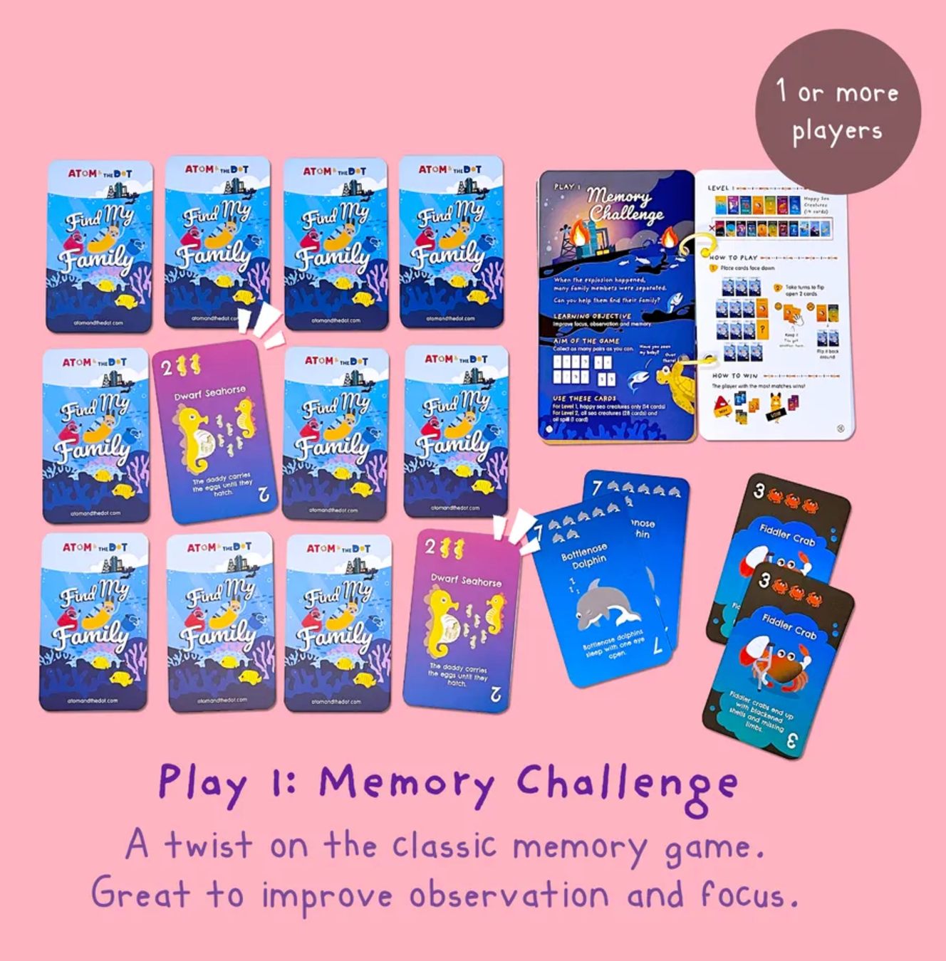 Find My Family Memory & Math Games